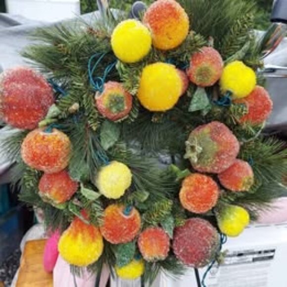 New 18x18" Christmas Wreath Lights Up Sugar Glazed Fruit - Picture 1 of 3